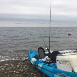 渋い日が続きます。