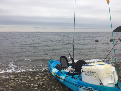 渋い日が続きます。