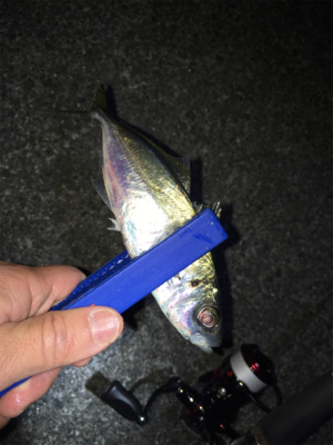 明石でライトゲーム