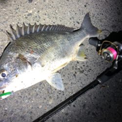 癒しチニング♪