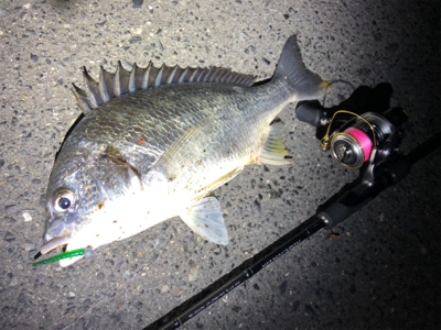 癒しチニング♪