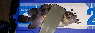 停めれないし、釣れない