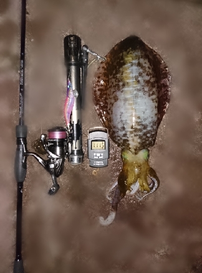 今年初キロアップ