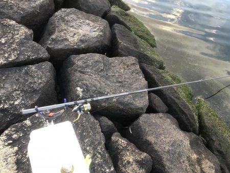 エビ撒き時合は突然に！