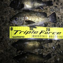 日本海単独遠征