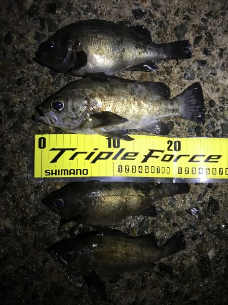 日本海単独遠征