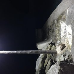 メバルを求めて2020