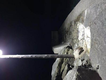 メバルを求めて2020