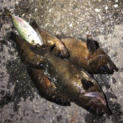 荒れてたけど、何とかOK