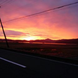 令和2年初調査～⤴