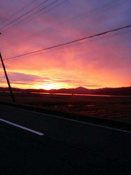 令和2年初調査～⤴