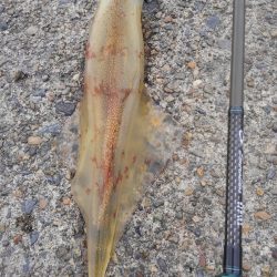 やっと~ヤリ~✌