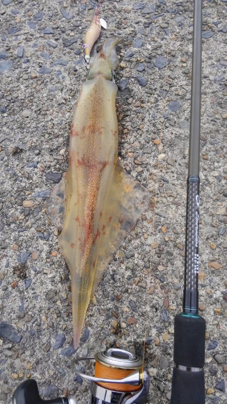 やっと～ヤリ～✌