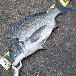 あけましておめでとうございます！！！