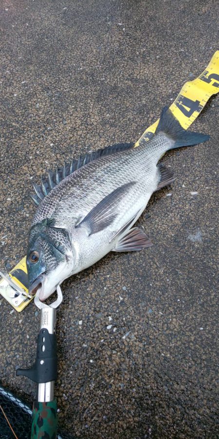 あけましておめでとうございます！！！