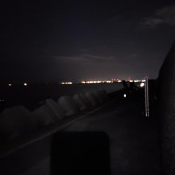 青物終わった！？