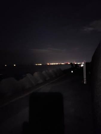 青物終わった！？