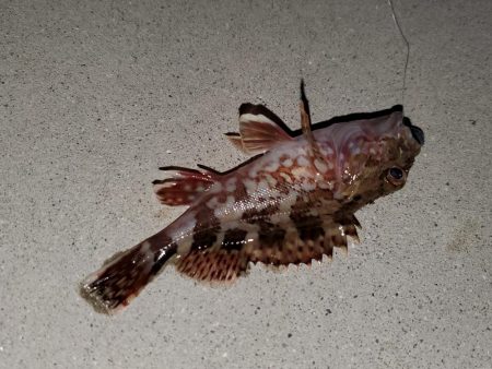 おじさんに一言…