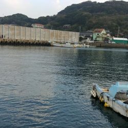 カマスの引っ掛け