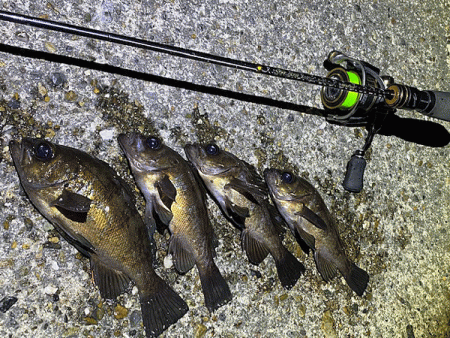 二見メバリング(2020-1)