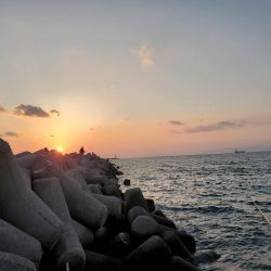 SLSJでメバリング