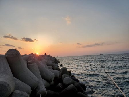 SLSJでメバリング