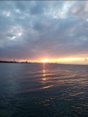 青物はいない！？