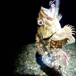 爆風でも、裏切らない