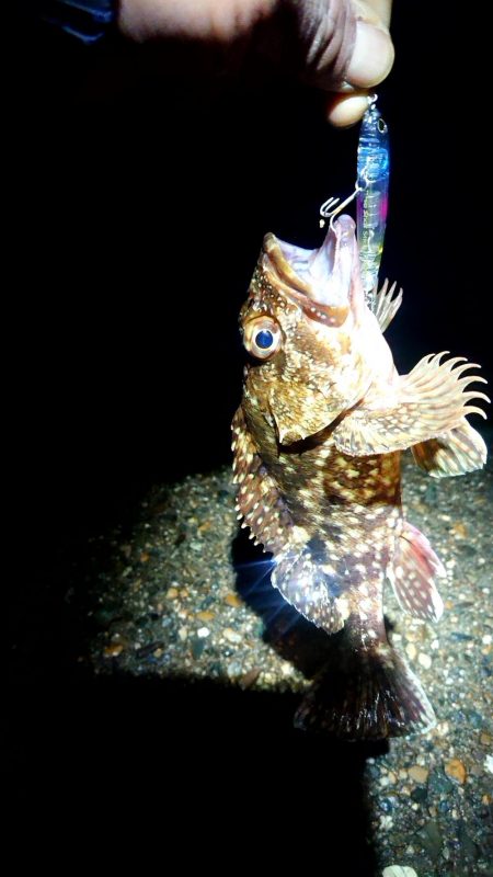 爆風でも、裏切らない