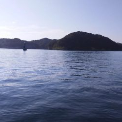 小型和船からのSLJ&タイラバ！ジャックアイグロッキーでリベンジ