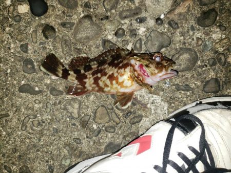 え？こんな所に？