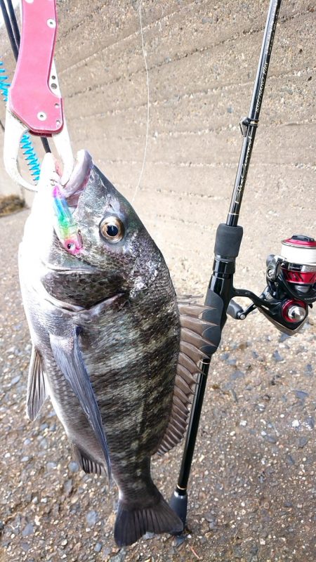 何かが釣れる気配で……