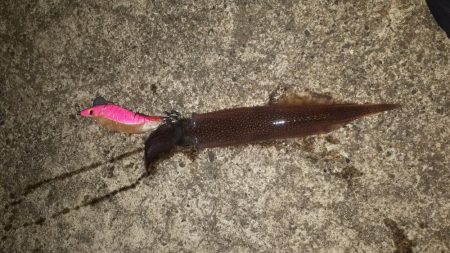 クタクタになりながら6つ目の漁港