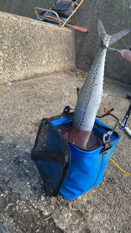 数は少ないが、まだまだ！情報求む！