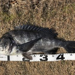 イチノ兄弟、釣果！