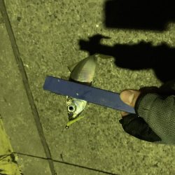 南蛮漬け子供のおやつに