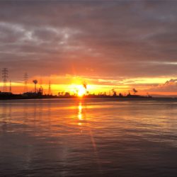 元日　釣りバカショアジギング