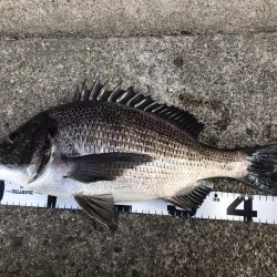 イチノ兄弟、釣果！