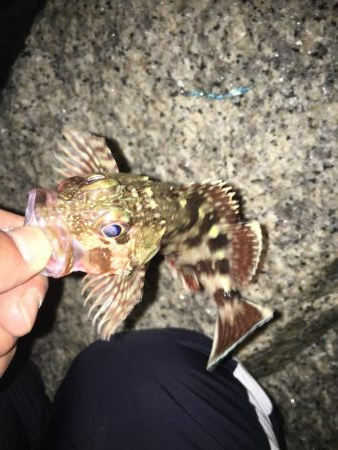 巻き起こせタ・カ・チfordream