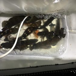 今年も良いスタートです