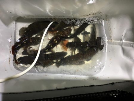 今年も良いスタートです