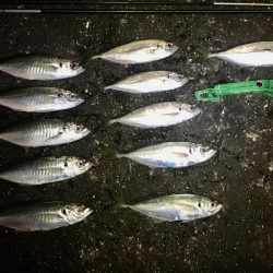 平日３時間サービスタイム！