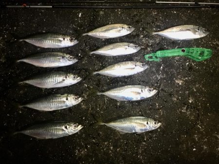 平日３時間サービスタイム！