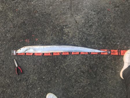 年明けもドラゴン