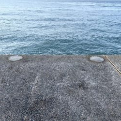 大荒れ後の荒喰い