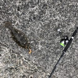 ショアタイラバ