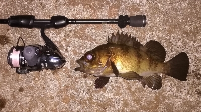 メバリング1840〜1930