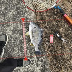 今年の初釣り　1月9日