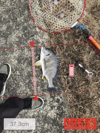 今年の初釣り　1月9日