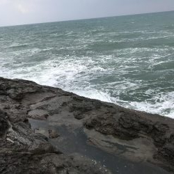 今年初釣果は地磯で！